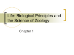 Life: Biological Principles and the Science of Zoology