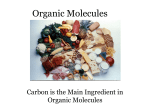 Organic Macromolecules