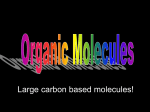 Organic Molecules