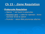 Ch 15 - .Gene Regulation