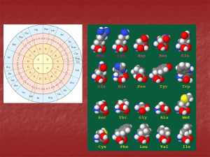 PowerPoint 14 – Enzymes