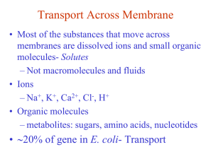 active transport