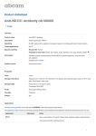 Anti-NR1D1 antibody ab188800 Product datasheet 1 Image Overview