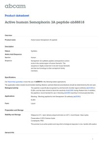 Active human Semaphorin 3A peptide ab88818 Product datasheet Overview Product name