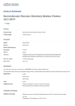 Recombinant Human Olfactory Marker Protein ab114419 Product datasheet 1 Image