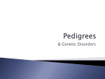 Pedigrees