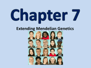 Section 7.1: Chromosomes & Phenotypes