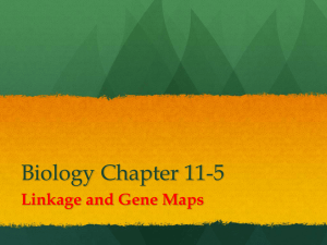 Biology Chapter 11-5 - Wayne County Public Schools