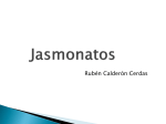 Jasmonatos