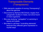 Transposable Elements