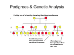 Day 4: Pedigree Powerpoint