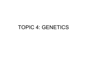 topic 4 genetics