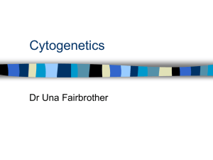 Cytogenetics