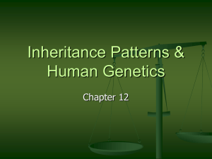 Human Genetics - Green Local Schools