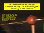 Fruit-specific RNAi-mediated suppression of DET1 enhances