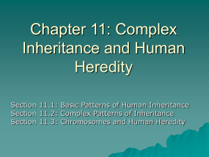 Chapter 11: Complex Inheritance and Human Heredity