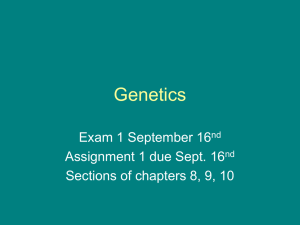 Mendelian Genetics - Home | Phoenix College