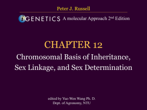 CHAPTER 12 Chromosomal Basis of Inheritance, Sex linkage