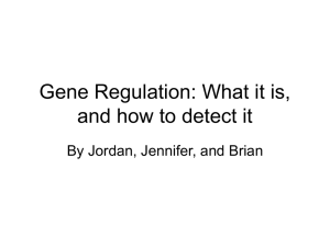 Reverse Transcription PCR (RT-PCR)