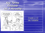 Key Terms Foldable CH. 5 Heredity