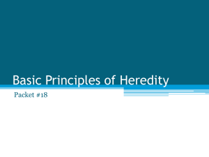 Basic Principles of Heredity