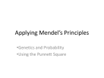 Applying Mendel’s Principles