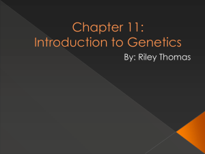 Chapter 11: Introduction to Genetics