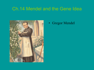 PowerPoint Presentation - Ch.14 Mendel and the Gene Idea