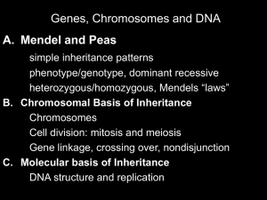 Genes, Chromosomes and DNA