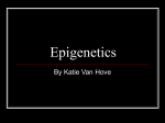 Epigenetics