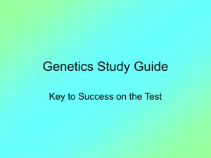 Genetics Study Guide