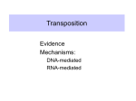 Transposition - Pennsylvania State University