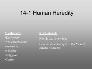 Ch 14- Human Heredity