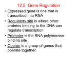 12.4 Mutations