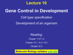 Regulation of yeast mating - City University of New York