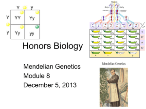 Honors Biology