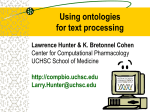 Using ontologies for text processing