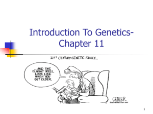 Introduction To Genetics