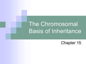 The Chromosomal Basis of Inheritance