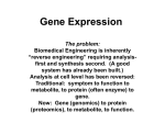 Gene Expression