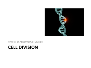 CELL DIVISION