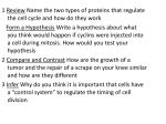 Ch 10 Cell Growth and Development