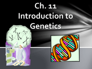 Ch. 11 Introduction to Genetics