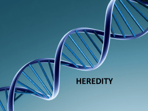 HEREDITY - Susquehanna University