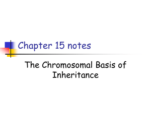 Chapter 1 Notes