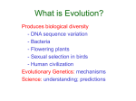 What is Evolution?