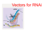 Setting up a transformation--how will the competent cells be treated?