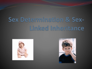 Sex Determination & Sex