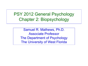 Chapter 2 lecture slides - University of West Florida