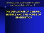 dna methylation